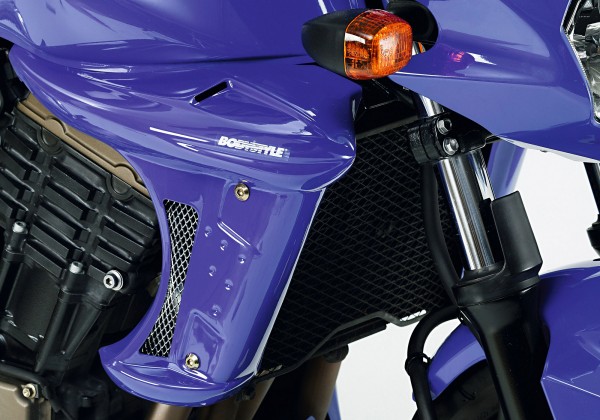 Kühlerseitenverkleidung - schwarz - Kawasaki Z750 (2004-2006)