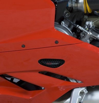 R&G Motorseitendeckel-Protektor - Ducati 1199 Panigale