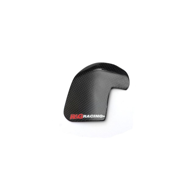 Carbon-Schwingen-Protektor für Ducati Supersport '17-'20 und Supersport 950 '21-
